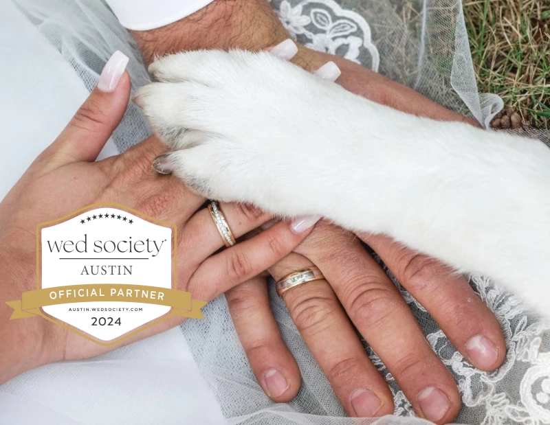 Bride, groom & dog putting hands together